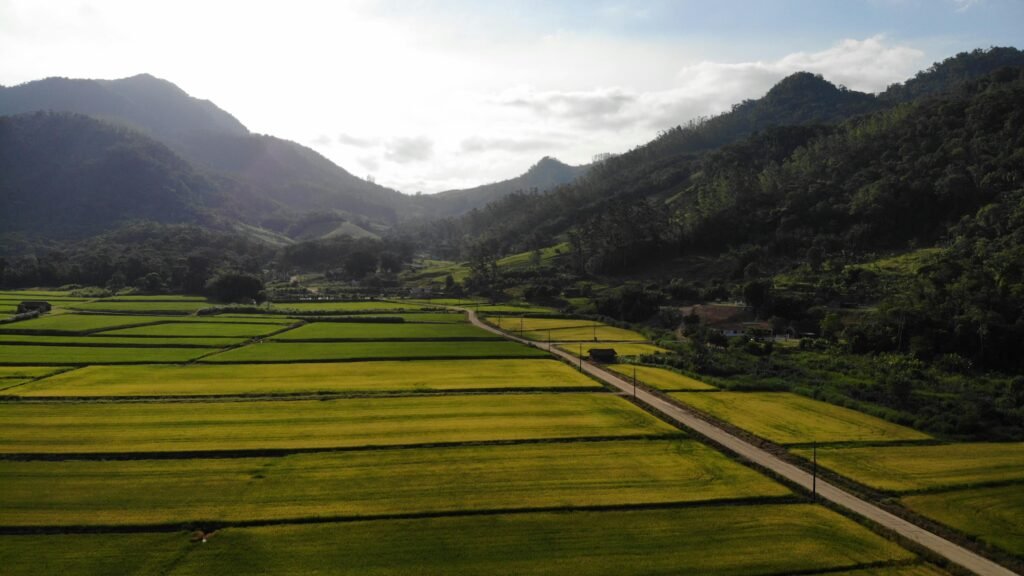 PIB do Brasil cresce em 2025 com força do agro.